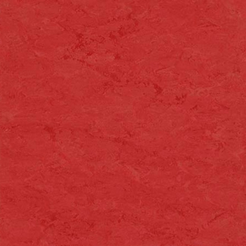 Picture of Toli International - Fasolplus Koi