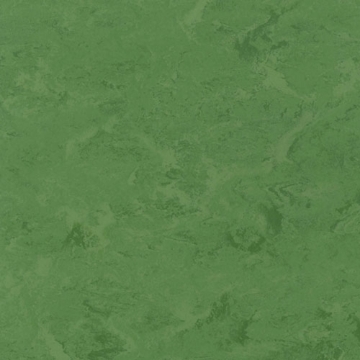 Picture of Toli International - Fasolplus Leaf