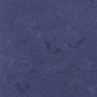 Picture of Toli International - Fasolplus Twilight