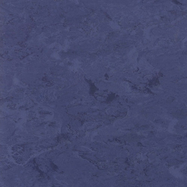 Picture of Toli International - Fasolplus Twilight