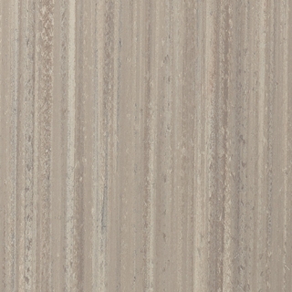 Picture of Toli International - Terraline Desert