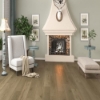 Picture of Chesapeake Flooring - Downtown Rutledge