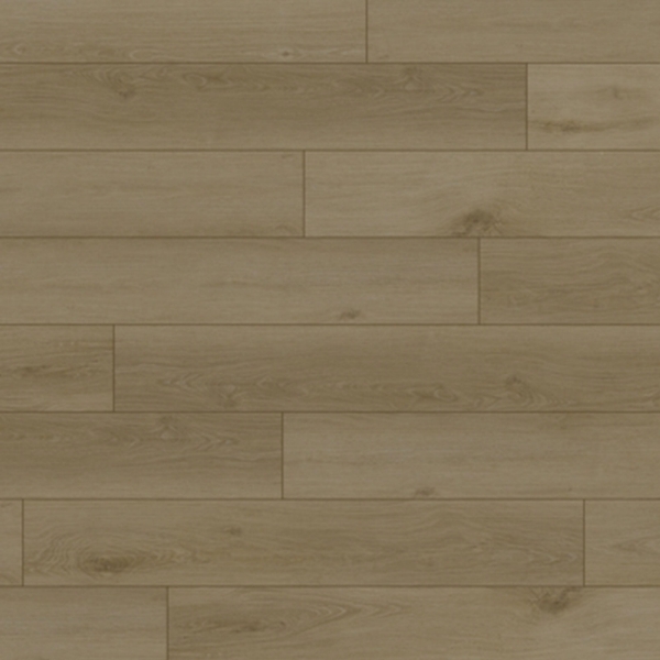 Picture of Firmfit - Downtown Rutledge