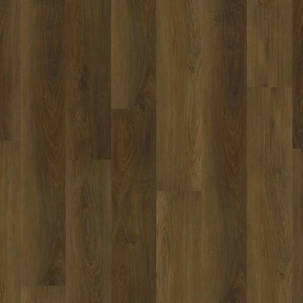 Picture of EarthWerks - Chassis Advantage Spitfire