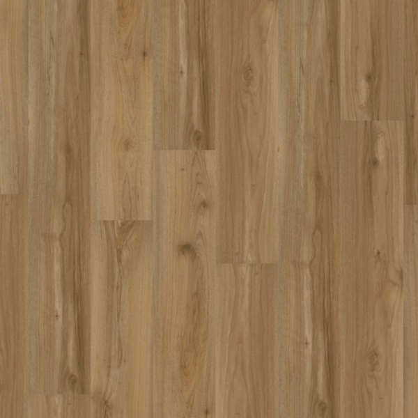 Picture of EarthWerks - Chassis Advantage Backbone