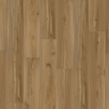 Picture of EarthWerks - Chassis Pro Backbone