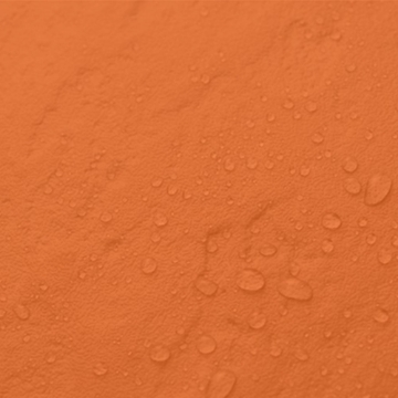 Picture of Life Floor - Slate Goldfish