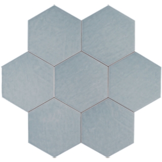 Picture of Tesoro - Albatross Hexagon Sky Glossy