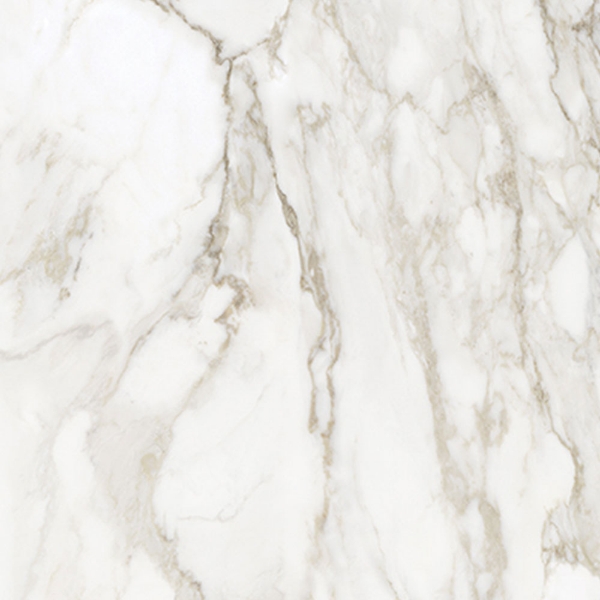 Picture of Anatolia Tile & Stone - La Marca 32 x 32 Calacatta Paonazzo Honed