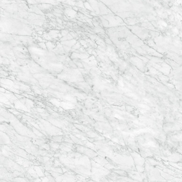 Picture of Anatolia Tile & Stone - La Marca 32 x 32 Carrara Gioia Honed