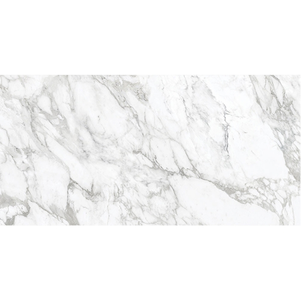 Picture of Anatolia Tile & Stone - La Marca 24 x 48 Arabescato Honed