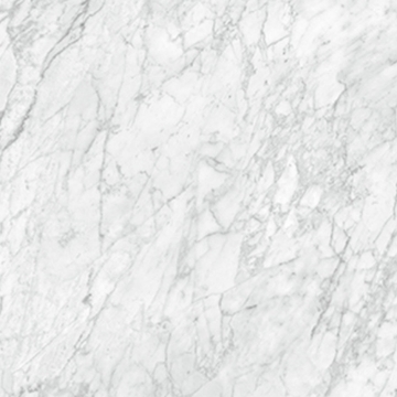 Picture of Anatolia Tile & Stone - La Marca 24 x 24 Carrara Gioia Honed