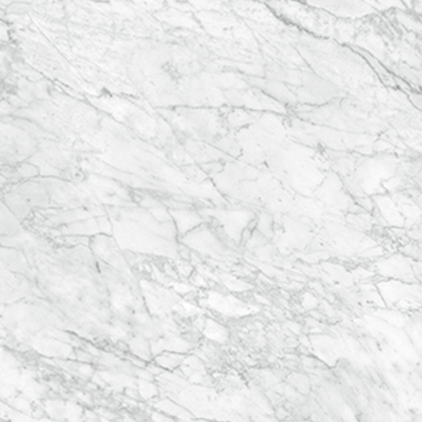 Picture of Anatolia Tile & Stone - La Marca 24 x 24 Carrara Gioia Polished