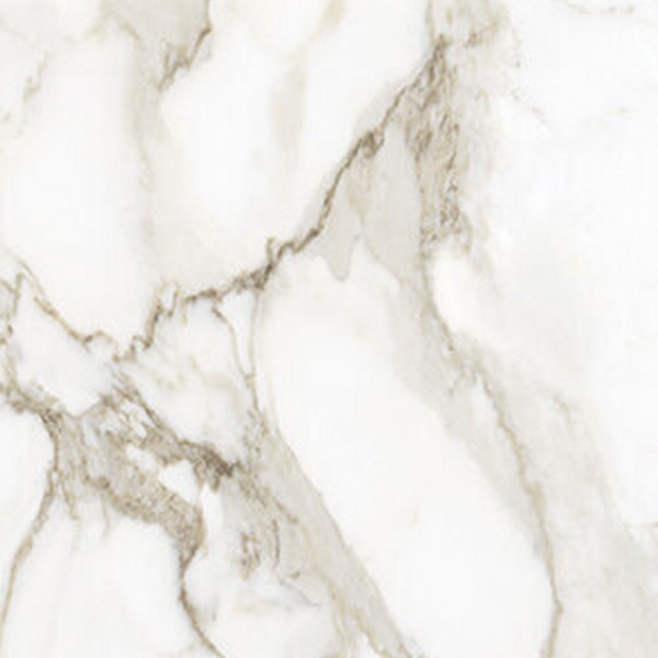 Picture of Anatolia Tile & Stone - La Marca 24 x 24 Calacatta Paonazzo Polished