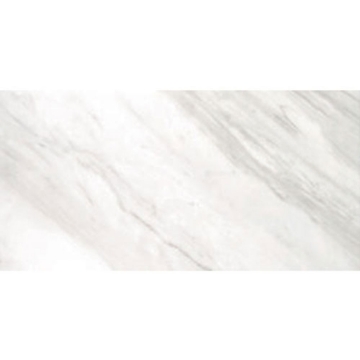 Picture of Tesoro - Delray II 12 x 24 Moon Polished