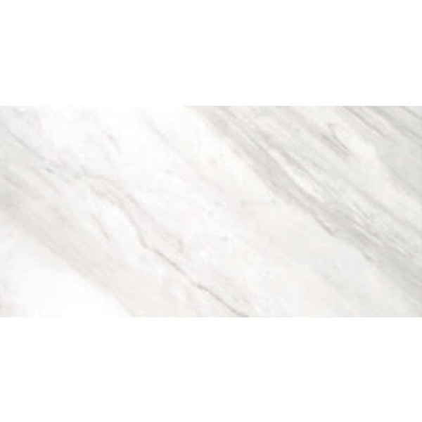 Picture of Tesoro - Delray II 12 x 24 Moon Polished