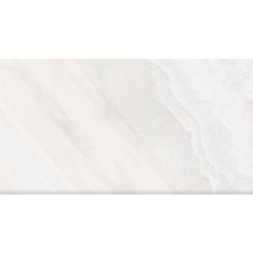 Picture of Tesoro - Delray II 12 x 24 Alaska Matte