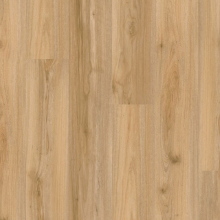 Picture of EarthWerks - Chassis Advantage Plus Backbone