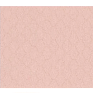 Picture of Shaw Floors - Geoscapes Diamond First Lady Pink