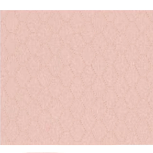 Picture of Shaw Floors - Geoscapes Diamond First Lady Pink