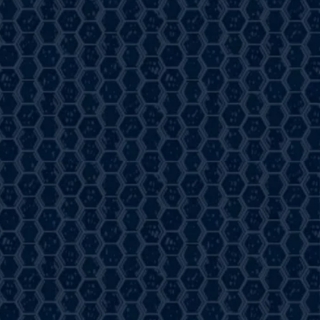 Picture of Shaw Floors - Geoscapes Hexagon Midnight