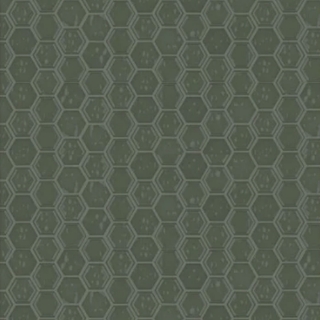 Picture of Shaw Floors - Geoscapes Hexagon Moss Green