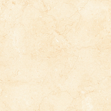 Picture of Tesoro - Bejha 24 x 24 Fiorito Polished