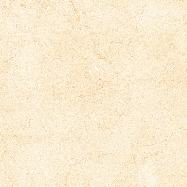 Picture of Tesoro - Bejha 24 x 24 Fiorito Polished