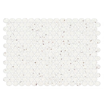 Picture of American Olean - Unglazed ColorBody Mosaic Penny Round Solids Salt & Pepper