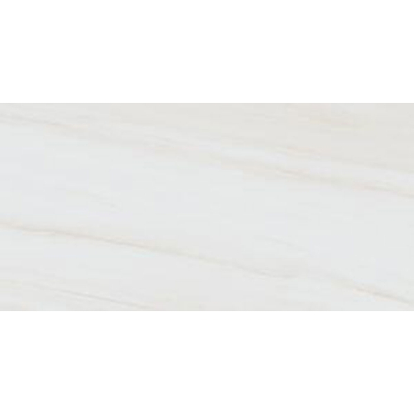 Picture of Tesoro - Adler 24 x 48 Dolomite Beige