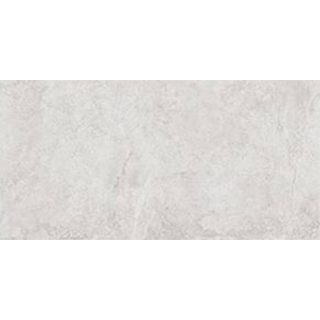 Picture of Tesoro - Evolution 24 x 48 White