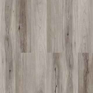 Picture of Chesapeake Flooring - Hemisphere Equator