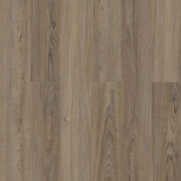 Picture of Chesapeake Flooring - Hemisphere Latitude