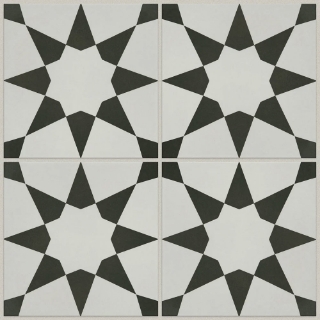 Picture of Shaw Floors - Renee Josefina Onyx