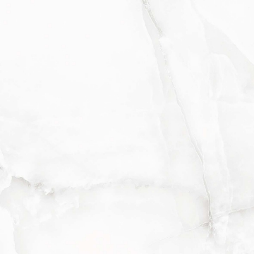 Picture of Kertiles - Taj Palace 24 x 24 Bianco