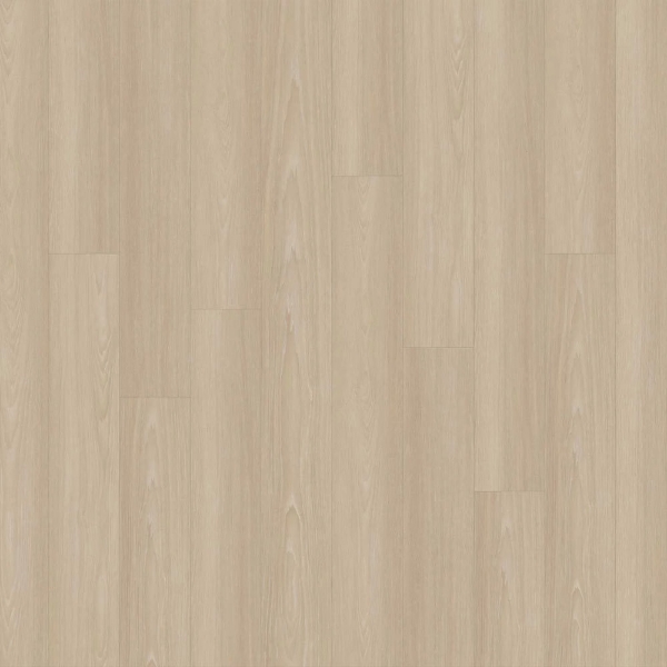 Picture of EarthWerks - Chassis Pro Clutch