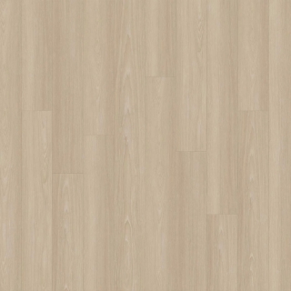 Picture of EarthWerks - Chassis Pro Plus Clutch