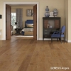 Picture of Chesapeake Flooring - Genesis Angels