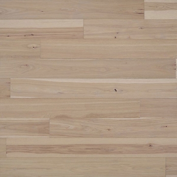 Picture of Chesapeake Flooring - Terra Nova Exploration