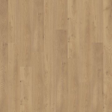 Picture of Chesapeake Flooring - Freedom Grassland