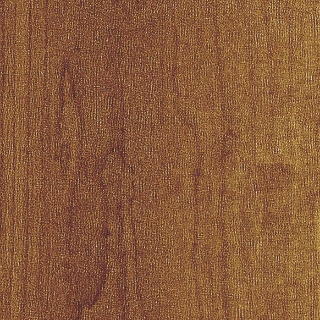 Picture of Amtico - Spacia Wood 6 x 36 Northern Maple Autumn