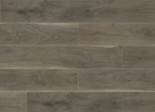 Picture of Silent Blue - Raincoat Silver Fox