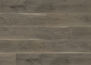 Picture of Silent Blue - Raincoat Silver Fox