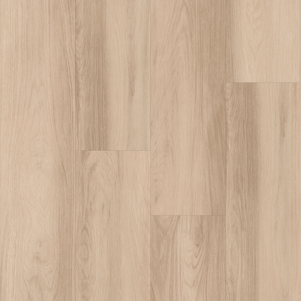 Picture of Azalea Lane - Park Pisgah