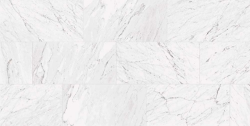 Picture of Chesapeake Flooring - Lexington 24x24 Carrara White Matte