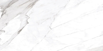 Picture of Chesapeake Flooring - Savoy 12 x 24 Apuano Polished