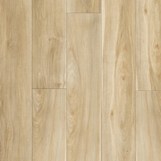 Picture of Homestead - AeroCore Saturn Dust