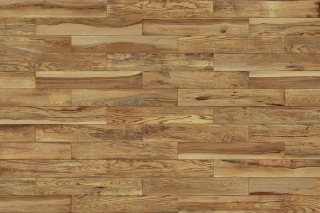 Picture of Chesapeake Flooring - Club House Honey