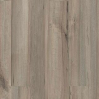 Picture of Shaw Builder - Polaris Plus Sea Glass