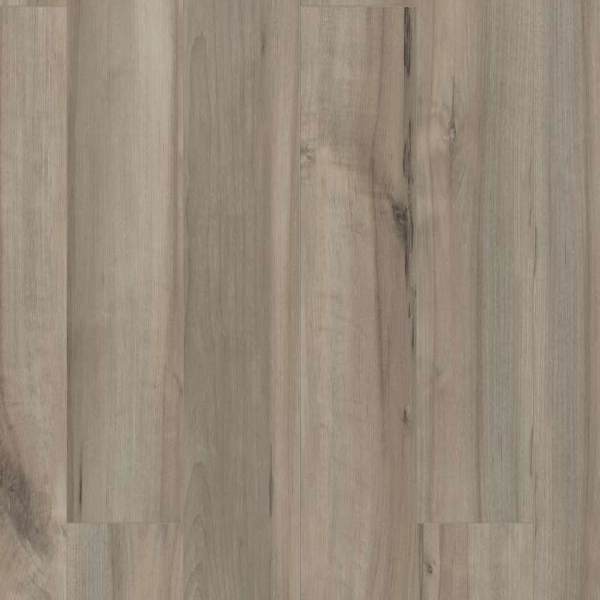 Picture of Shaw Builder - Polaris Plus Sea Glass